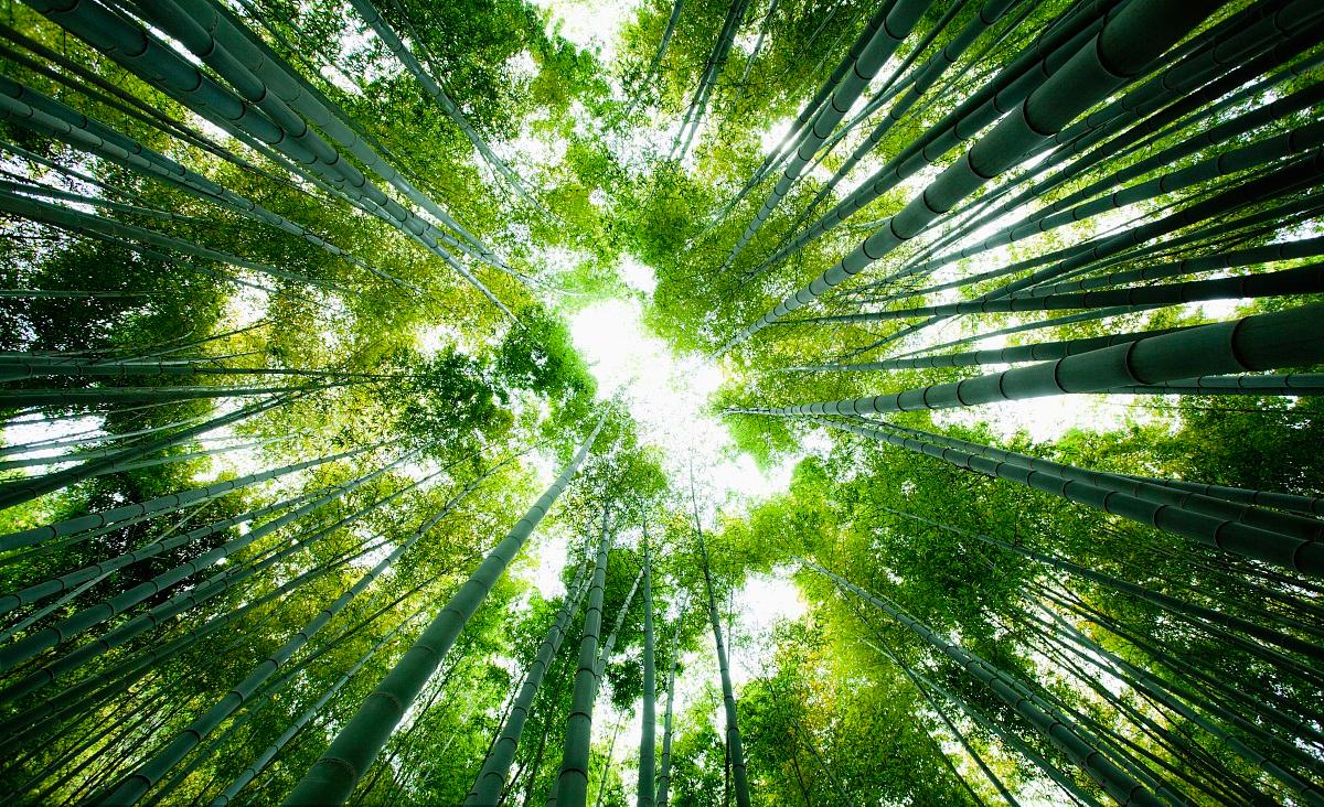 生態環境部：VOCs治理已成為大氣領域明顯短板，主要治理措施有哪些？